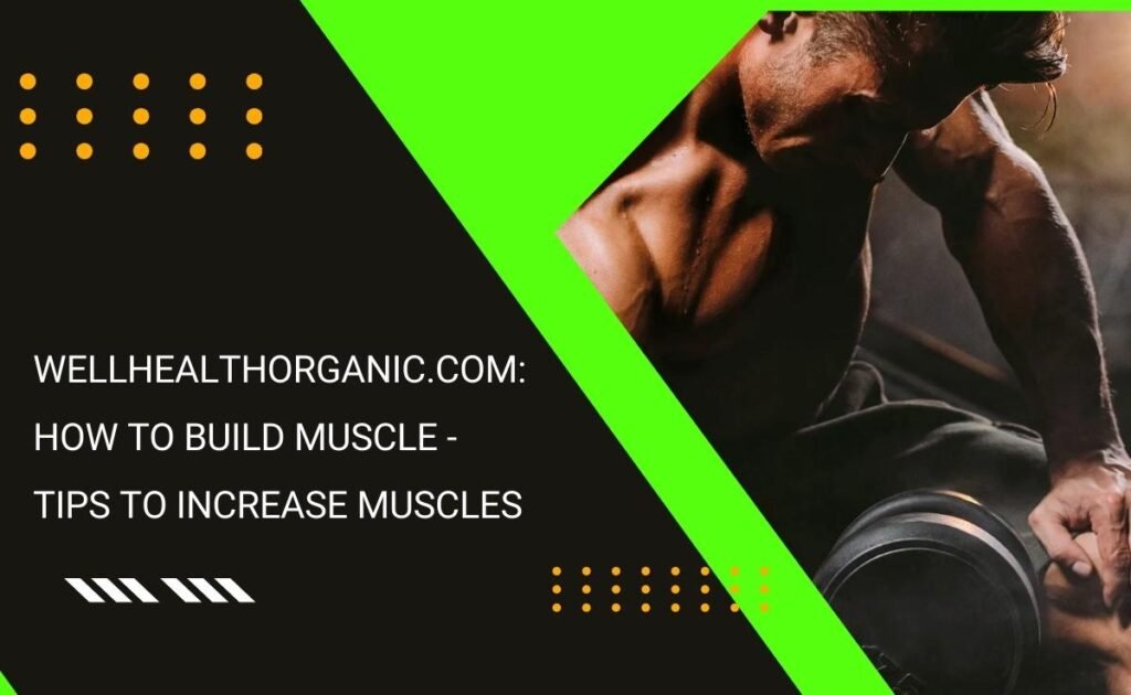 WellHealthOrganic.com How to Build Muscle - Tips to Increase Muscles