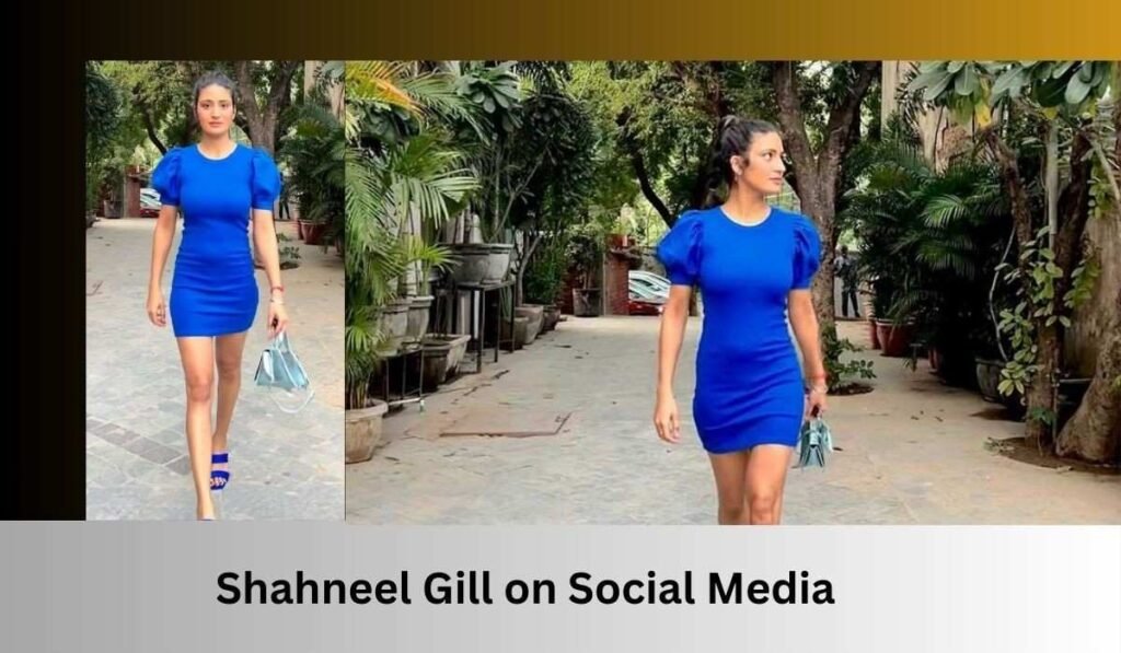 Shahneel Gill Social Media